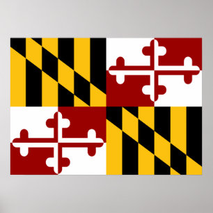 Póster Bandera de Maryland