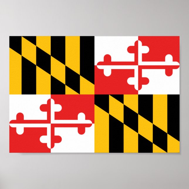 Póster Bandera de Maryland (Frente)