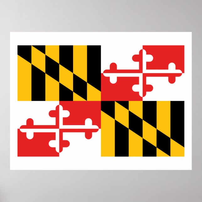 Póster Bandera de Maryland (Frente)