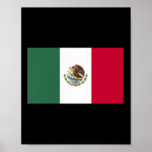 Póster Bandera de México Bolsillo bandera mexicana hijast