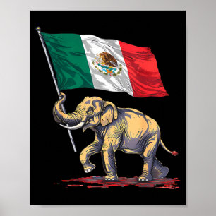 Póster bandera de México orgullo mexicano raíces mexicana