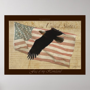 Póster BANDERA DE MI PATRIA: Águila calva, Poster de la b