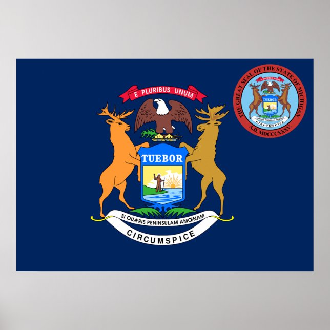 Póster Bandera de Michigan (Frente)