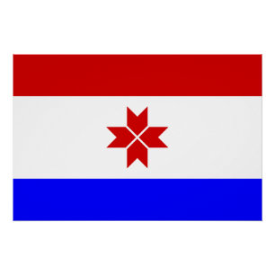 Póster Bandera de Mordovia