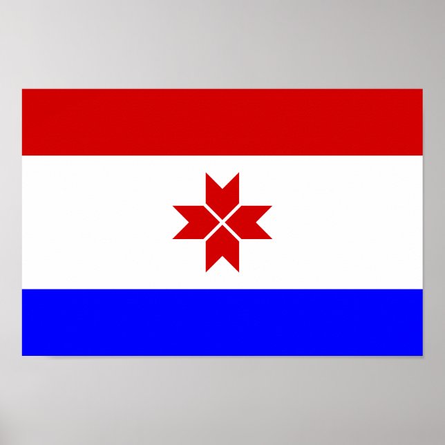 Póster Bandera de Mordovia (Frente)