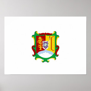 Póster Bandera de Nayarit