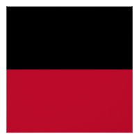 Bandera de Nijmegen