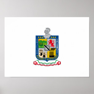 Póster Bandera de Nuevo León