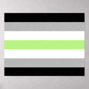 Póster Bandera de orgullo Agender
