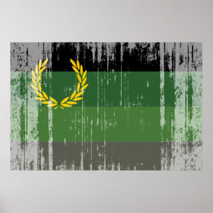 PÓSTER BANDERA DE ORGULLO DE UNIFORME MILITAR