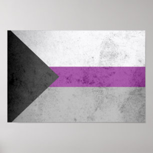 PÓSTER BANDERA DE ORGULLO DEMISEXUAL