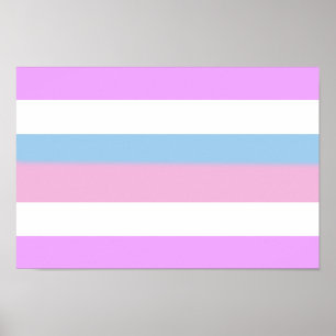 Póster Bandera de orgullo intersexual