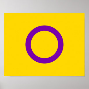 Póster Bandera de orgullo intersexual