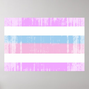 Póster Bandera de orgullo intersexual