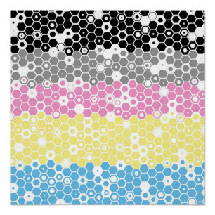 Póster Bandera de Orgullo Poligénero Abstracta Geométrica