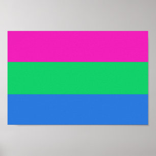 Póster Bandera de orgullo polissexual