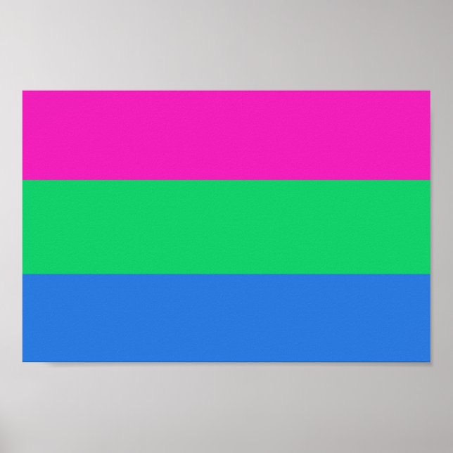 Póster Bandera de orgullo polissexual (Frente)