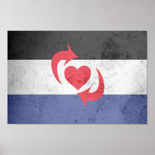 PÓSTER BANDERA DE ORGULLO SWITCH