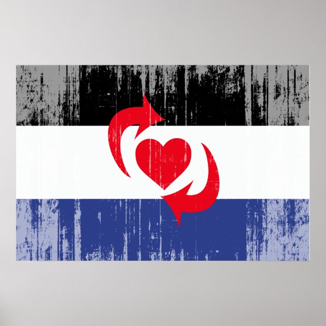 PÓSTER BANDERA DE ORGULLO SWITCH (Frente)