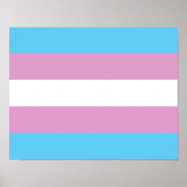 Póster Bandera de Orgullo Trans - (2) (Frente)