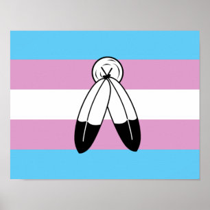Póster Bandera de orgullo trans de dos espíritus