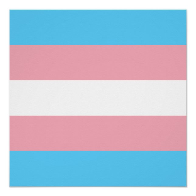 Póster Bandera de orgullo transgénero (Anverso)