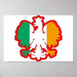 PÓSTER BANDERA DE POLISH/IRISH