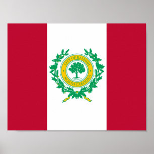 Póster Bandera de Raleigh, Poster de Carolina del Norte