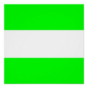 Póster Bandera de Rotterdam