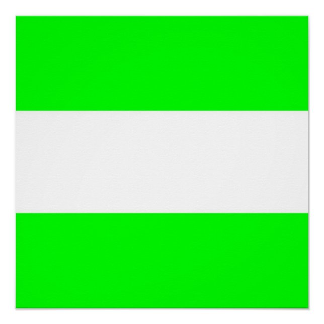 Póster Bandera de Rotterdam (Anverso)