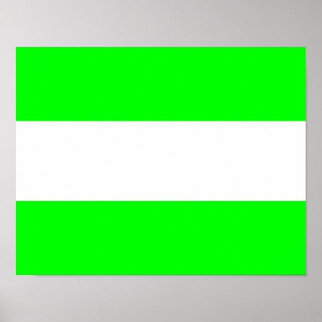 Póster Bandera de Rotterdam (Frente)