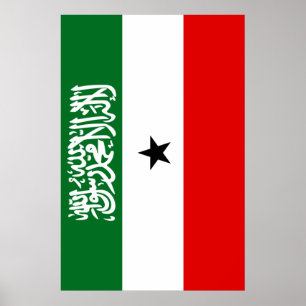 Póster Bandera de Somaliland