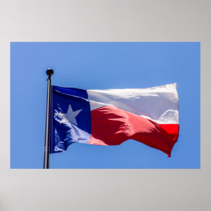 Póster Bandera de Texas