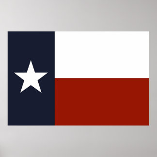 Póster Bandera de Texas