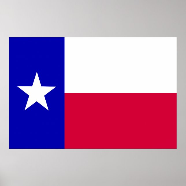 Póster Bandera de Texas (Frente)