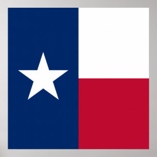 Póster Bandera de Texas: Longhorns, el estado de la solit