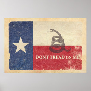 Póster Bandera de Texas y Gadsden
