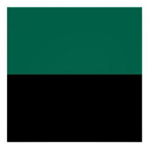 Póster Bandera de Texel