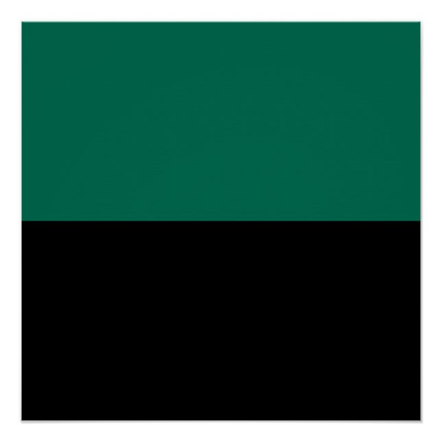 Póster Bandera de Texel (Anverso)