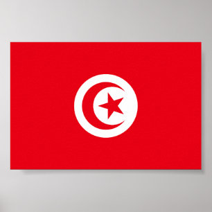 Póster Bandera de Túnez