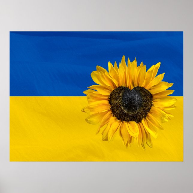 Póster Bandera de Ucrania con girasol cardíaco (Frente)