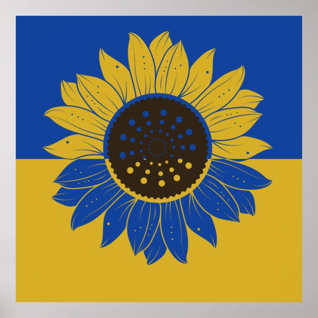 Póster Bandera de Ucrania girasoles, bandera de Ucrania (Frente)