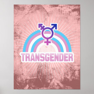 PÓSTER BANDERA DEL ARCO IRIS DEL TRANSEXUAL