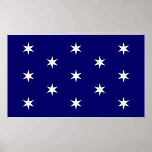 Póster Bandera del Comandante en Jefe de George Washingto