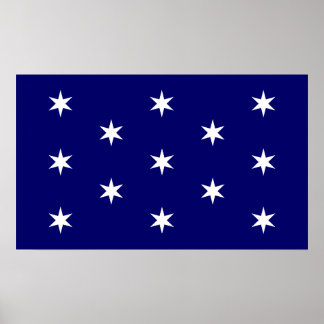 Póster Bandera del Comandante en Jefe de George Washingto