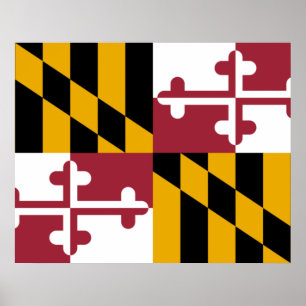 Póster Bandera del Estado de Maryland