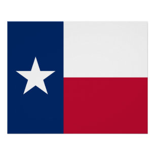 Póster Bandera del estado de Texas