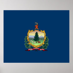 Póster Bandera del Estado de Vermont