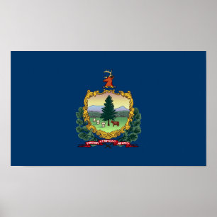 Póster Bandera del Estado de Vermont