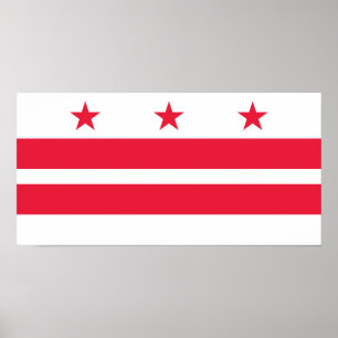 Póster Bandera del estado de Washington DC
